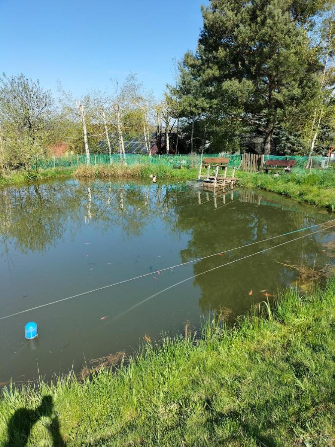 Willa Pod Brzeznikiem Bukowiec  Zewnętrze zdjęcie